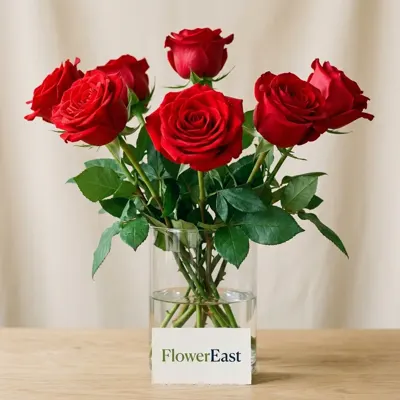 5 rote Rosen in der Glasvase