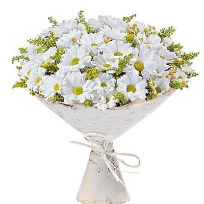 White Daisy Bouquet